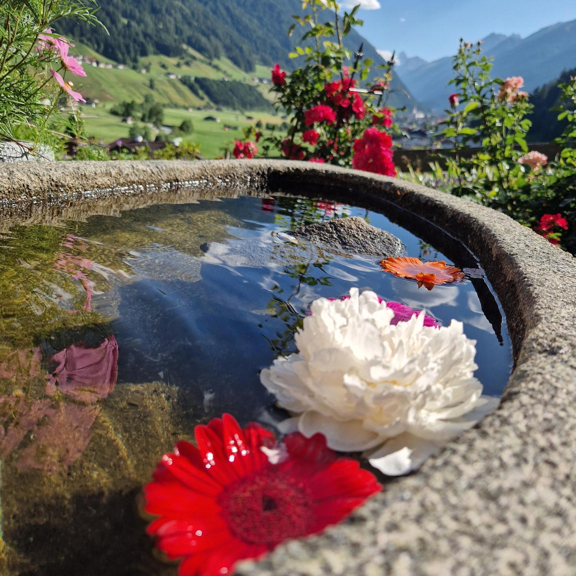 Klein&fein Appartement Neustift im Stubaital